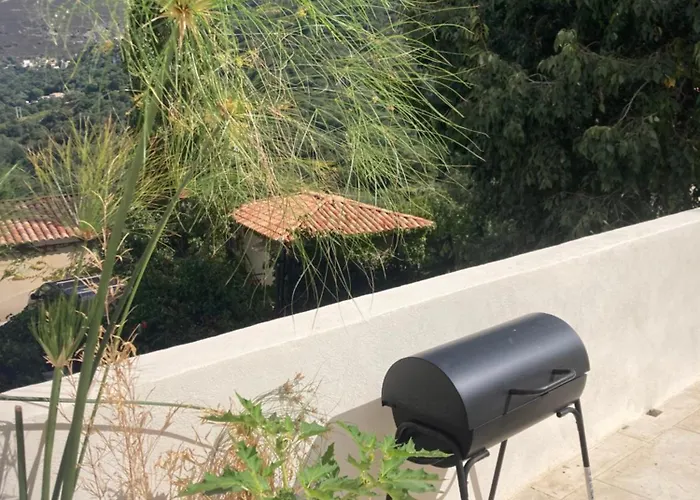 L'attellu * פליקטו